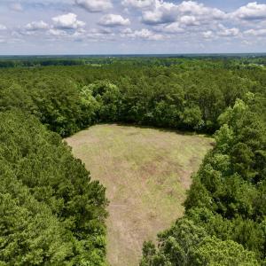 Photo #13 of SOLD property in Off Wilcox Ln, Vanceboro, NC 57.8 acres