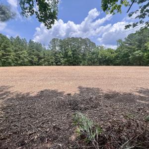 Photo #14 of SOLD property in Off Wilcox Ln, Vanceboro, NC 57.8 acres