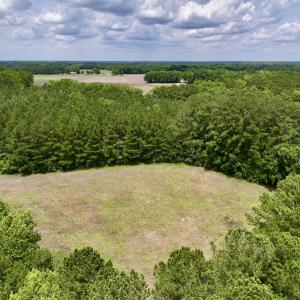 Photo #15 of SOLD property in Off Wilcox Ln, Vanceboro, NC 57.8 acres