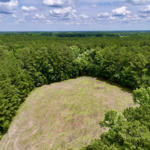 Photo #16 of SOLD property in Off Wilcox Ln, Vanceboro, NC 57.8 acres