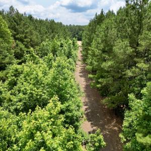 Photo #18 of SOLD property in Off Wilcox Ln, Vanceboro, NC 57.8 acres