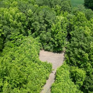 Photo #20 of SOLD property in Off Wilcox Ln, Vanceboro, NC 57.8 acres