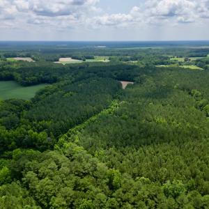 Photo #3 of SOLD property in Off Wilcox Ln, Vanceboro, NC 57.8 acres