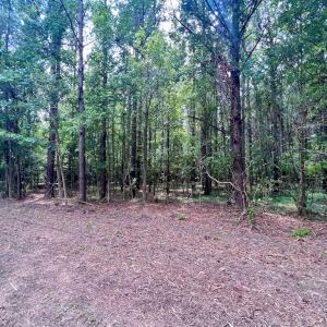 Photo #25 of SOLD property in Off Wilcox Ln, Vanceboro, NC 57.8 acres