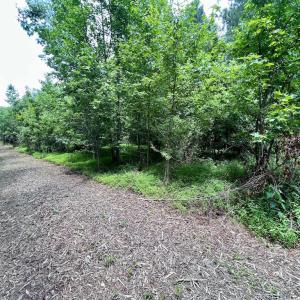 Photo #26 of SOLD property in Off Wilcox Ln, Vanceboro, NC 57.8 acres