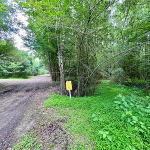 Photo #31 of SOLD property in Off Wilcox Ln, Vanceboro, NC 57.8 acres