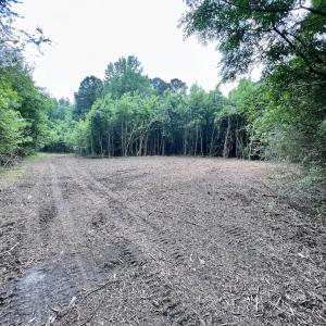 Photo #32 of SOLD property in Off Wilcox Ln, Vanceboro, NC 57.8 acres