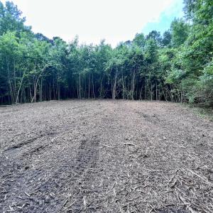 Photo #33 of SOLD property in Off Wilcox Ln, Vanceboro, NC 57.8 acres