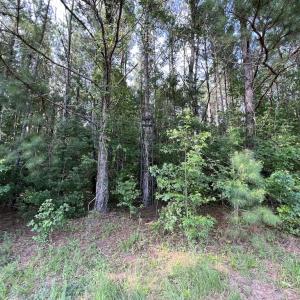 Photo #35 of SOLD property in Off Wilcox Ln, Vanceboro, NC 57.8 acres