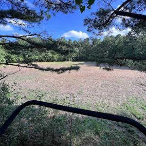 Photo #36 of SOLD property in Off Wilcox Ln, Vanceboro, NC 57.8 acres