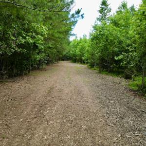 Photo #37 of SOLD property in Off Wilcox Ln, Vanceboro, NC 57.8 acres