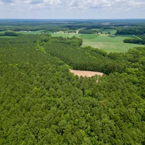 Photo #6 of SOLD property in Off Wilcox Ln, Vanceboro, NC 57.8 acres