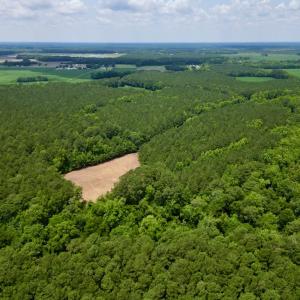 Photo #7 of SOLD property in Off Wilcox Ln, Vanceboro, NC 57.8 acres