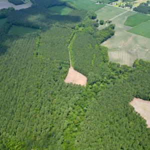 Photo #9 of SOLD property in Off Wilcox Ln, Vanceboro, NC 57.8 acres