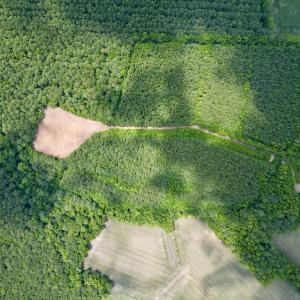 Photo #10 of SOLD property in Off Wilcox Ln, Vanceboro, NC 57.8 acres