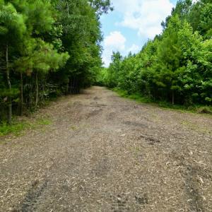 Photo #44 of SOLD property in Off Wilcox Ln, Vanceboro, NC 57.8 acres