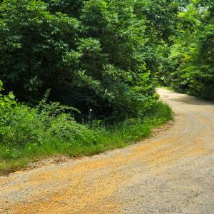Photo #5 of SOLD property in Off Green Pasture Lane, Ruffin, NC 1.5 acres