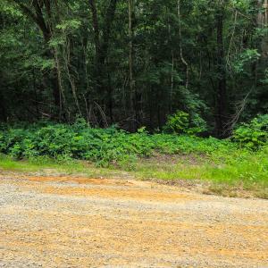 Photo #14 of SOLD property in Off Green Pasture Lane, Ruffin, NC 1.5 acres