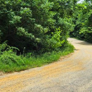 Photo #21 of SOLD property in Off Green Pasture Lane, Ruffin, NC 1.5 acres