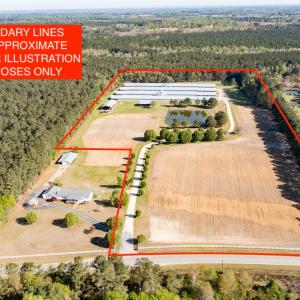 Photo #3 of 724 Josey Williams Rd, Erwin, NC 23.5 acres