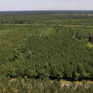 Photo #2 of Off Old Lake Road, Council, NC 2.4 acres