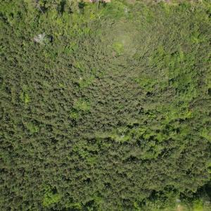 Photo #13 of Off Old Lake Road, Council, NC 2.4 acres