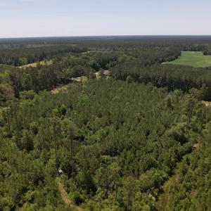 Photo #4 of Off Old Lake Road, Council, NC 2.4 acres