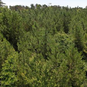 Photo #22 of Off Old Lake Road, Council, NC 2.4 acres