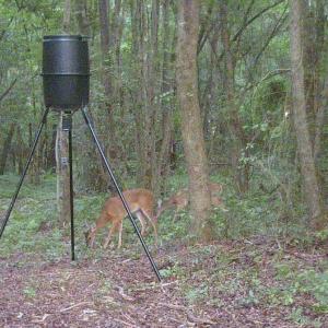 Photo #31 of SOLD property in Off Hwy 50, Rose Hill, NC 8.5 acres