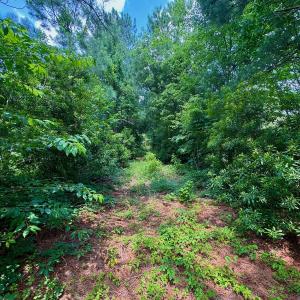 Photo #12 of SOLD property in Off Two Mile Desert Road, Hertford, NC 12.0 acres