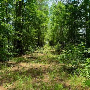Photo #20 of SOLD property in Off Two Mile Desert Road, Hertford, NC 12.0 acres