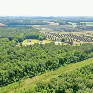 Photo #9 of SOLD property in Off Two Mile Desert Road, Hertford, NC 12.0 acres