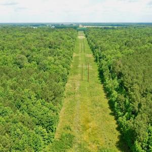 Photo #7 of SOLD property in Off Two Mile Desert Road, Hertford, NC 12.0 acres