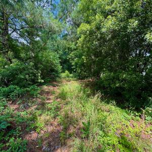 Photo #22 of SOLD property in Off Two Mile Desert Road, Hertford, NC 12.0 acres
