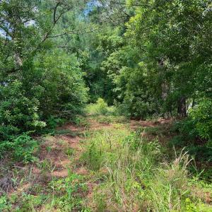 Photo #24 of SOLD property in Off Two Mile Desert Road, Hertford, NC 12.0 acres