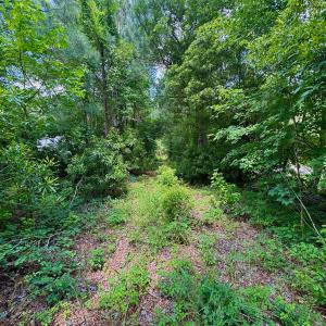 Photo #30 of SOLD property in Off Two Mile Desert Road, Hertford, NC 12.0 acres