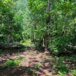 Photo #32 of SOLD property in Off Two Mile Desert Road, Hertford, NC 12.0 acres