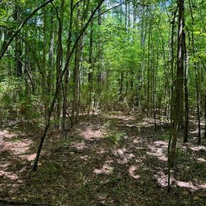 Photo #33 of SOLD property in Off Two Mile Desert Road, Hertford, NC 12.0 acres