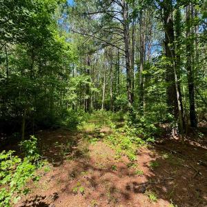 Photo #34 of SOLD property in Off Two Mile Desert Road, Hertford, NC 12.0 acres