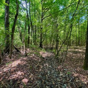 Photo #35 of SOLD property in Off Two Mile Desert Road, Hertford, NC 12.0 acres