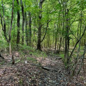 Photo #37 of SOLD property in Off Two Mile Desert Road, Hertford, NC 12.0 acres