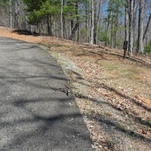 Photo #19 of Off Olde Stone Rd Lot 47, Crumpler, NC 5.3 acres