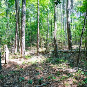 Photo #11 of SOLD property in Off Mays Chapel Rd, Bear Creek, NC 0.8 acres