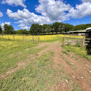 Photo #11 of SOLD property in 127 Albert Farm Rd, Monroe, VA 225.2 acres