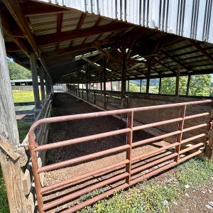Photo #12 of SOLD property in 127 Albert Farm Rd, Monroe, VA 225.2 acres