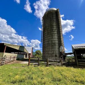 Photo #13 of SOLD property in 127 Albert Farm Rd, Monroe, VA 225.2 acres
