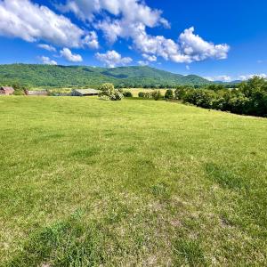 Photo #22 of SOLD property in 127 Albert Farm Rd, Monroe, VA 225.2 acres