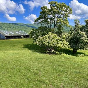 Photo #24 of SOLD property in 127 Albert Farm Rd, Monroe, VA 225.2 acres