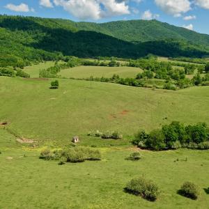 Photo #26 of SOLD property in 127 Albert Farm Rd, Monroe, VA 225.2 acres
