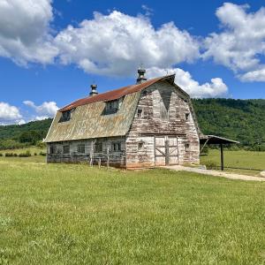 Photo #31 of SOLD property in 127 Albert Farm Rd, Monroe, VA 225.2 acres